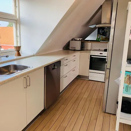 Hyggelig 1.sals I Midtby. דירה